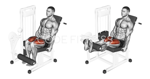 Лег екстензии