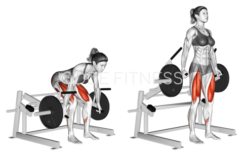 Мъртва тяга на машина (с дискове)