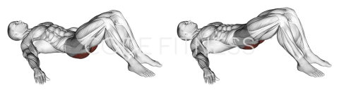 Глутеус мост