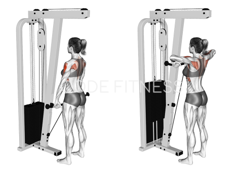 Гребане към брадичката с кабел