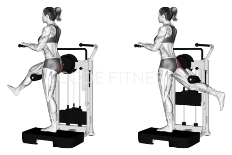 Ритник за задно бедро на машина