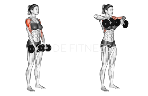 Гребане с дъмбели към брадичката