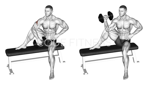 Външна ротация с дъмбел от седеж