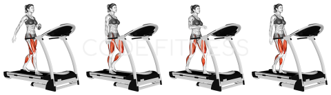 Walking on Treadmill