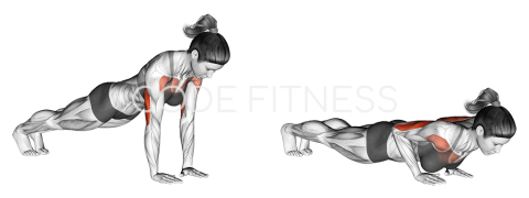 Close Grip Push up