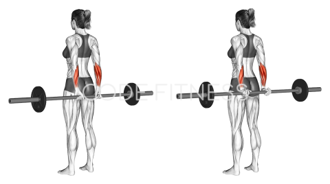 Barbell Standing Rear Wrist Curl
