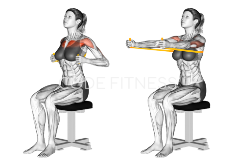 Resistance Band Seated Chest Press