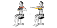 Resistance Band Seated Chest Press