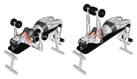 Dumbbell Decline Press