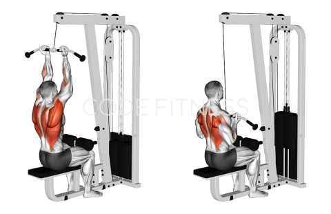 Close-Grip Pull-Down