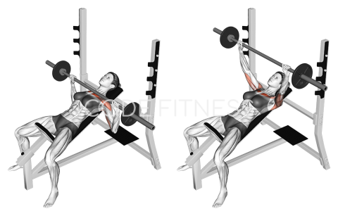 Barbell Incline Press