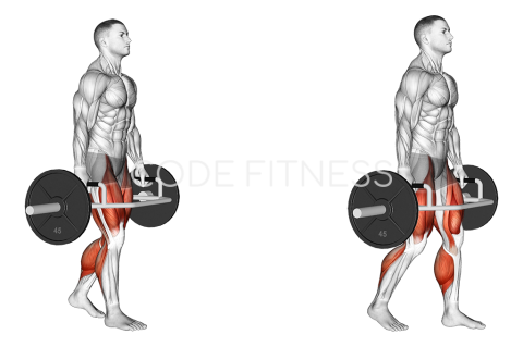 Trap Bar Farmers Carry