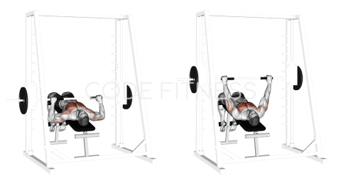 Machine Decline Press