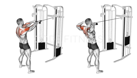 Standing Face Pull (with rope)