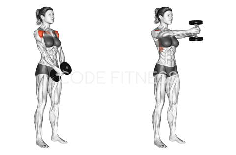 Single Dumbbell Front Raise