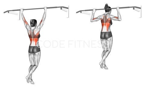 Behind-The-Neck Pull-Up