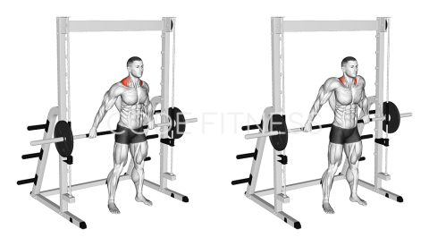 Smith Back Wide Shrug