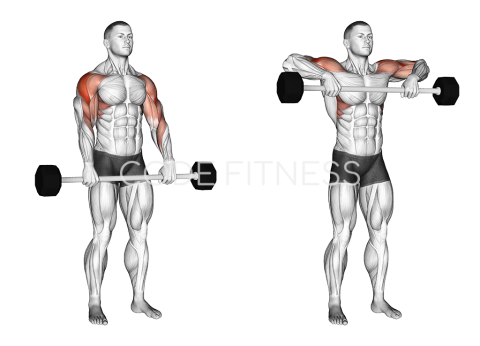 Barbell Upright Row