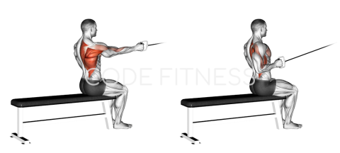 Cable Seated Row