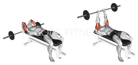 Lying Triceps-Extension