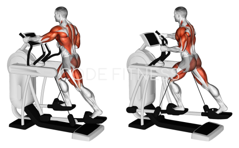 Elliptical Machine Walk