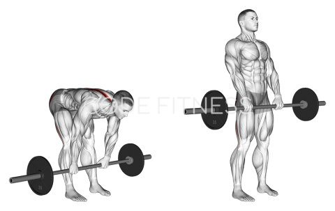 Barbell Stiff-Legged Deadlift