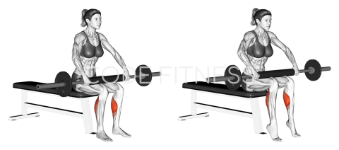 Barbell Seated Calf Raise