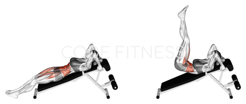 Incline Leg Raise