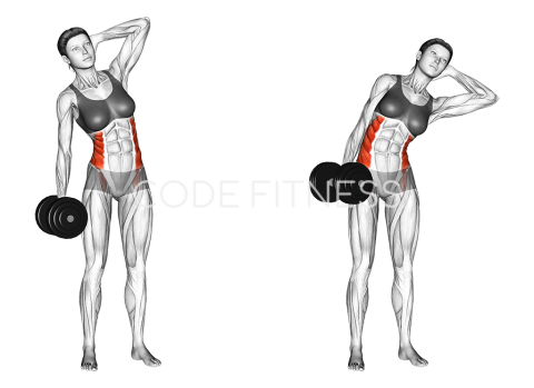 Dumbbell Side Bend