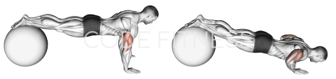 Push Up (on stability ball)