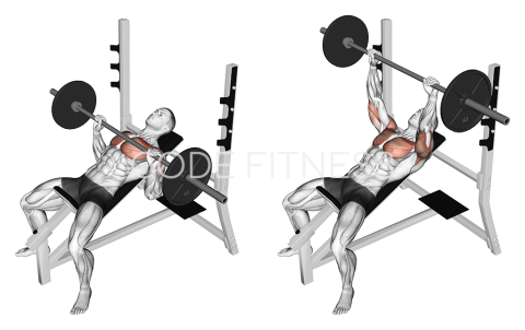 Barbell Incline Press