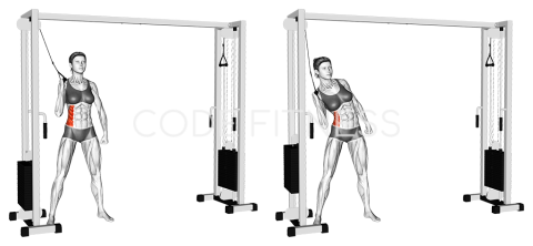 Cable Standing Oblique Crunch