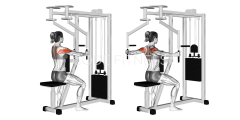 Machine Rear Deltoid Fly