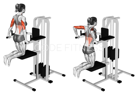 Machine Dip (ticeps)