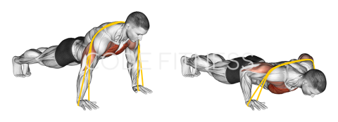 Resistance Band Push Up