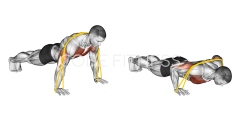 Resistance Band Push Up