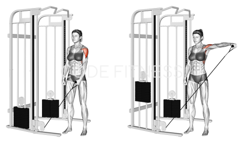 Cable Lateral Raise