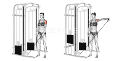 Cable Lateral Raise