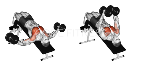 Dumbbell Decline Fly