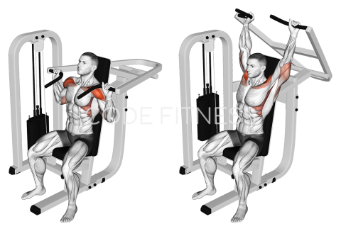 Machine Shoulder Press