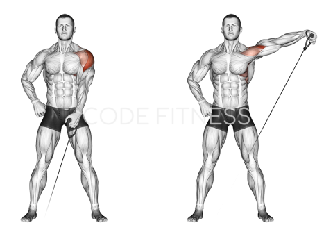 Cable Lateral Raise