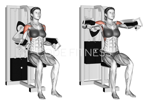 Machine Lateral Raise