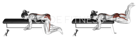 Frog Reverse Hyperextension (on a bench)