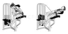 Machine Lumbar Extension
