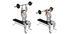 Barbell Seated Triceps Press