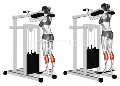 Standing Calf Raise