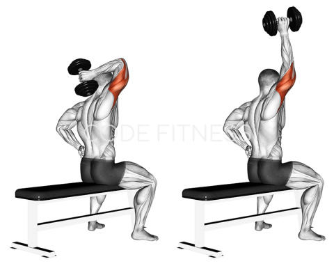 One-Arm Seated Triceps Press