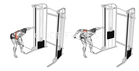 One-Arm Cable Bent-Over Raise