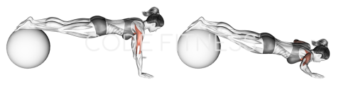 Push Up (on stability ball)