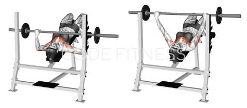 Barbell Decline Press